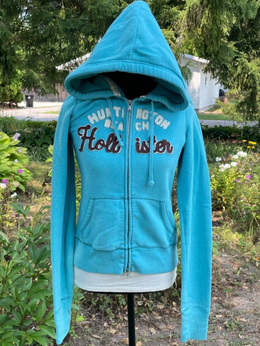 Vintage Y2K Hollister Blue Hoodie Zip Up L Spellout Logo Huntington Beach RARE